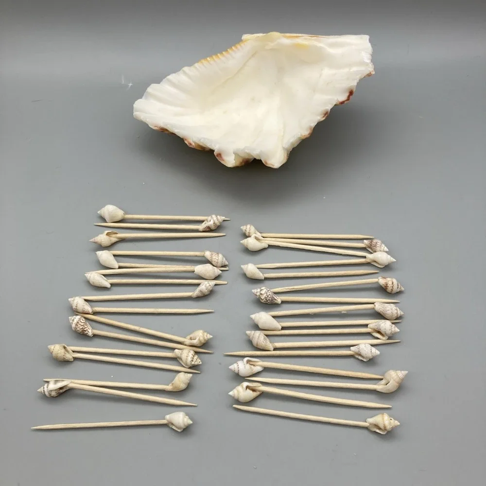 Vintage 1960's Sea Shell Appetizer Pick Set Large Main Shell 32  Toothpicks